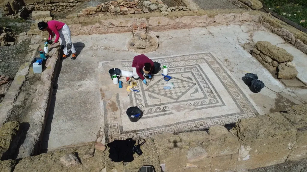 Capocolonna, il Mosaico dei Delfini nel Balneum romano
