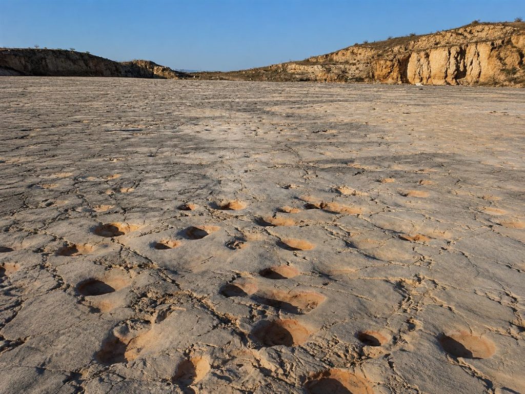 Orme di dinosauro nella cava Pontrelli di Altamura