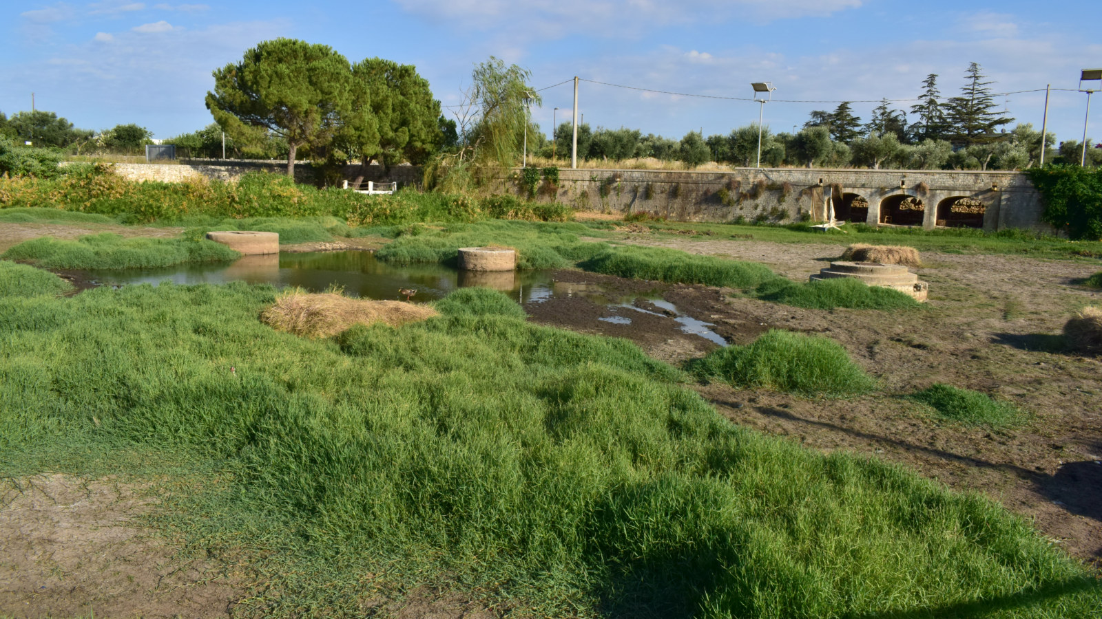La dolina del lago Sassano nei laghi di Conversano con le cisterne di pietra affioranti