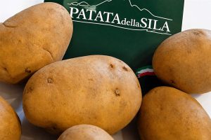 Patata della Sila IGP accanto al cartello del marchio